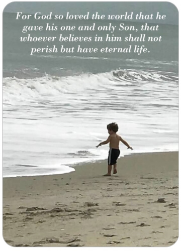 Health Food Emporium Encouragement Card The John 3 16 5x7 Post Card